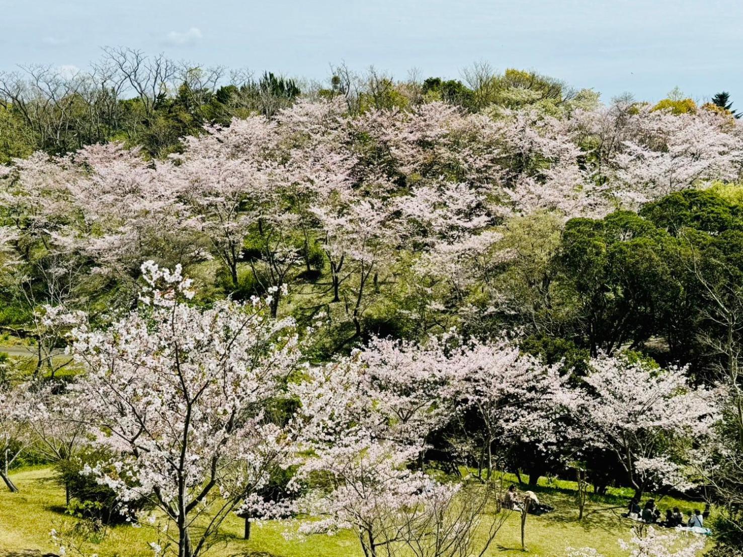 Villa 風乃家 Kaze No Ya Shirahama Exterior foto